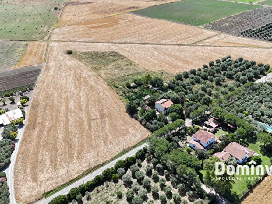 Immagine 10 di Rustico / casale in vendita  in Strada Selva Nera a Capalbio