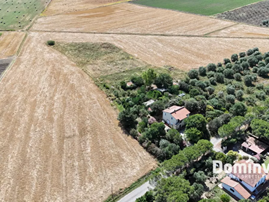 Immagine 11 di Rustico / casale in vendita  in Strada Selva Nera a Capalbio