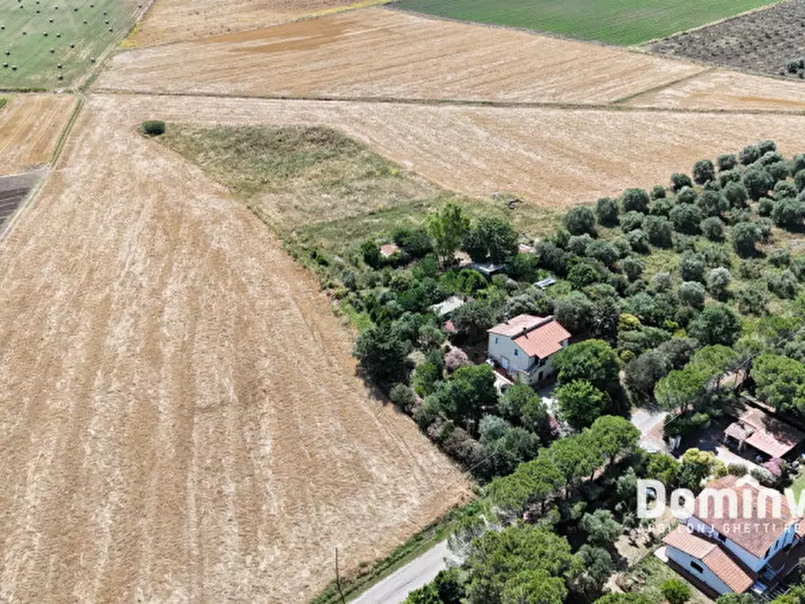 Immagine 12 di Rustico / casale in vendita  in Strada Selva Nera a Capalbio