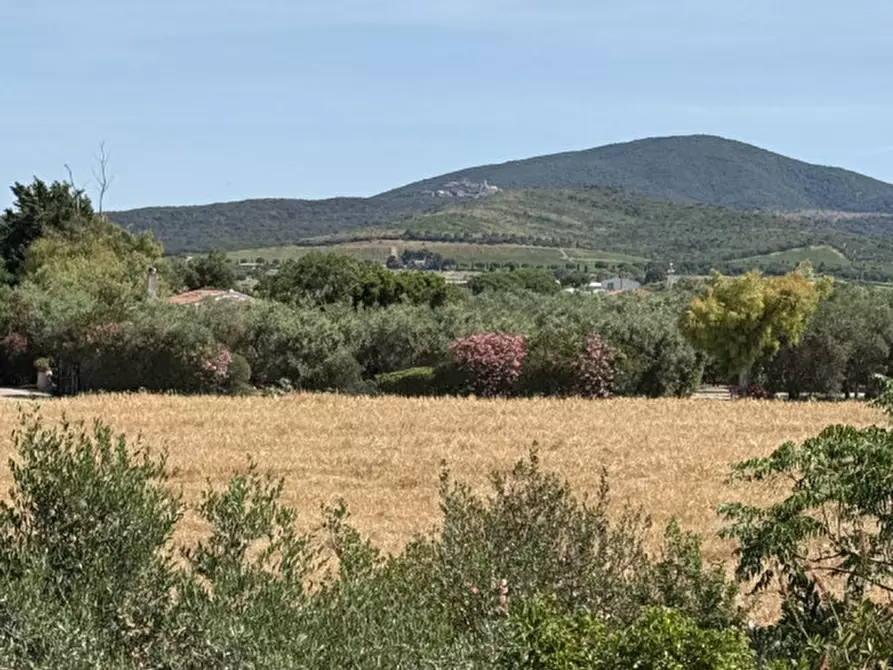 Immagine 14 di Rustico / casale in vendita  in Strada Selva Nera a Capalbio