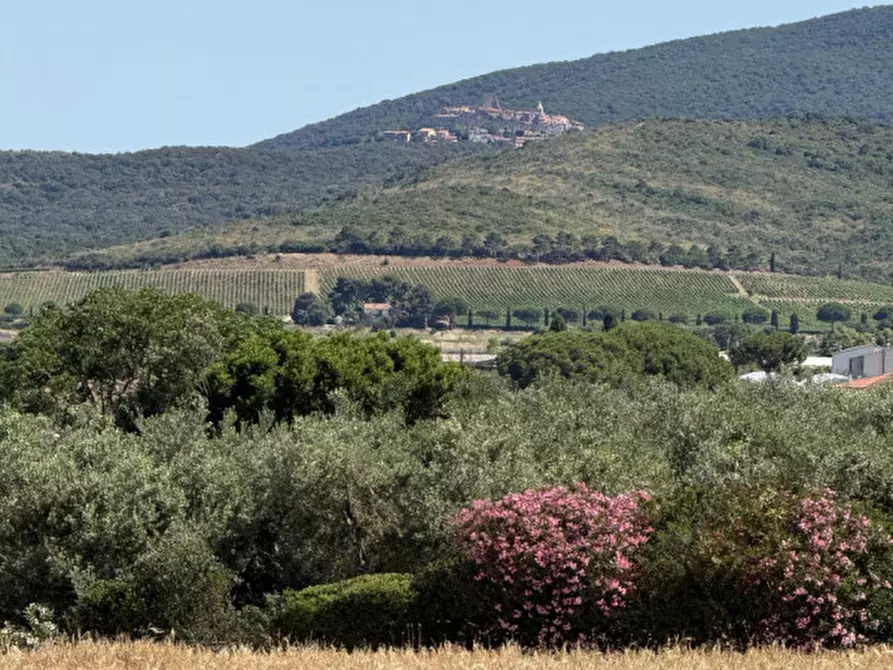 Immagine 15 di Rustico / casale in vendita  in Strada Selva Nera a Capalbio