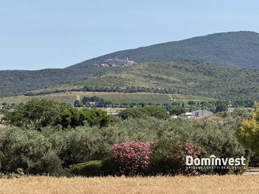 Immagine 16 di Rustico / casale in vendita  in Strada Selva Nera a Capalbio
