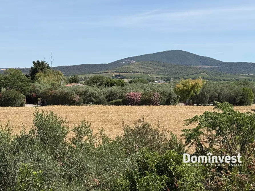 Immagine 17 di Rustico / casale in vendita  in Strada Selva Nera a Capalbio