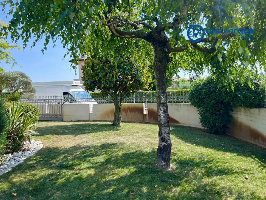 Immagine 4 di Casa bifamiliare in vendita  in Via Emilia a Solesino