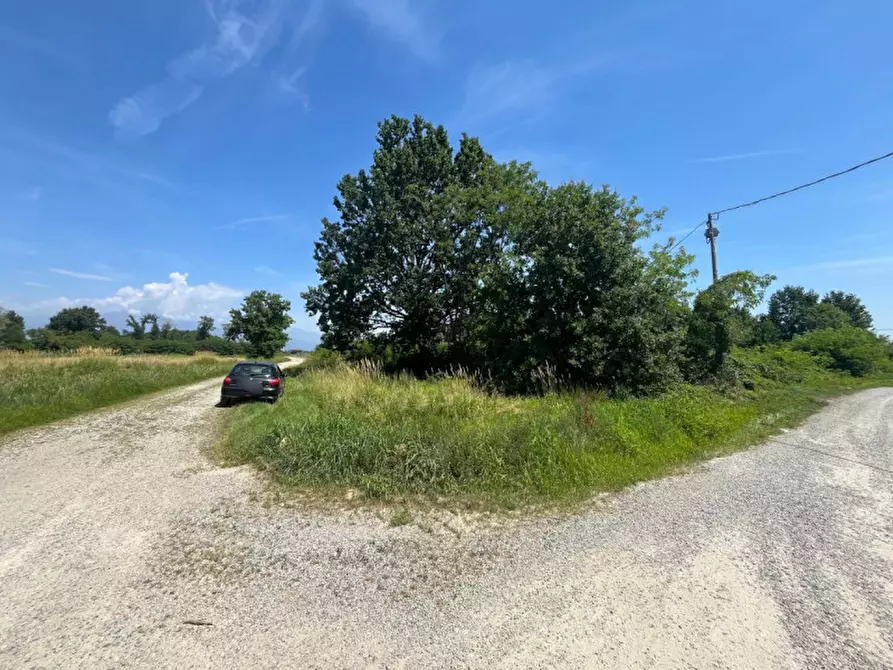 Immagine 2 di Terreno in vendita  in Via Ronchi del bosco a Bosconero