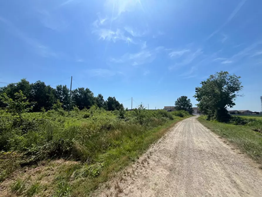 Immagine 3 di Terreno in vendita  in Via Ronchi del bosco a Bosconero