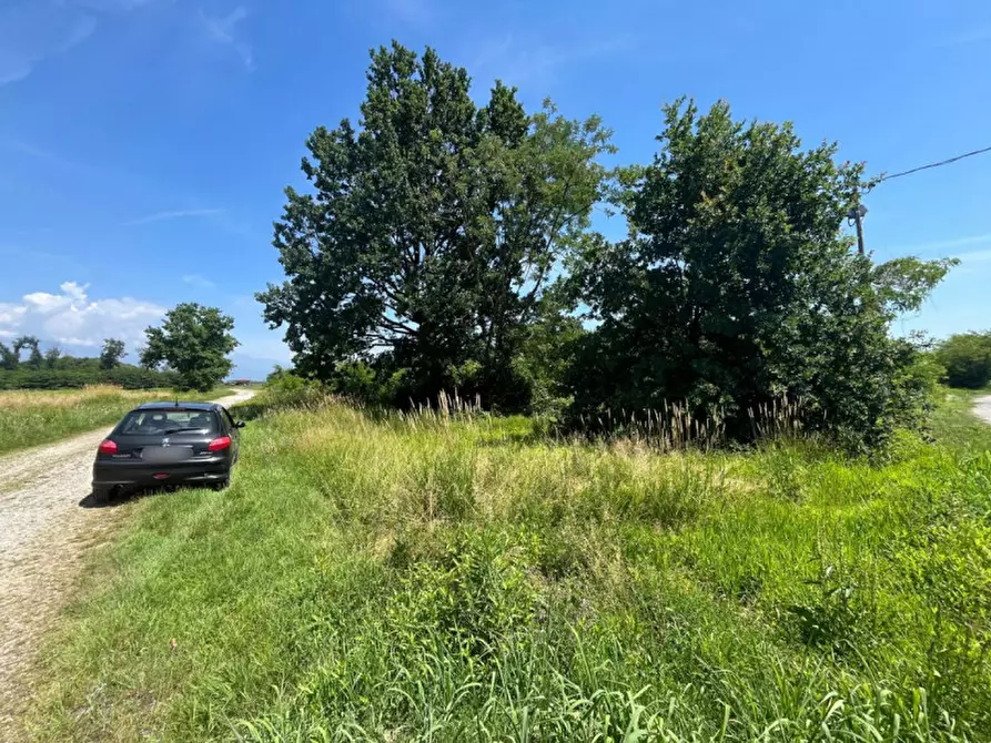 Immagine 4 di Terreno in vendita  in Via Ronchi del bosco a Bosconero