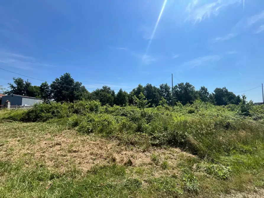 Immagine 5 di Terreno in vendita  in Via Ronchi del bosco a Bosconero