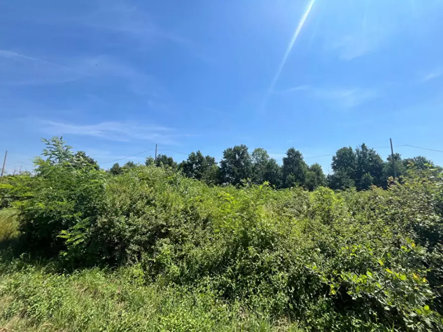 Immagine 6 di Terreno in vendita  in Via Ronchi del bosco a Bosconero