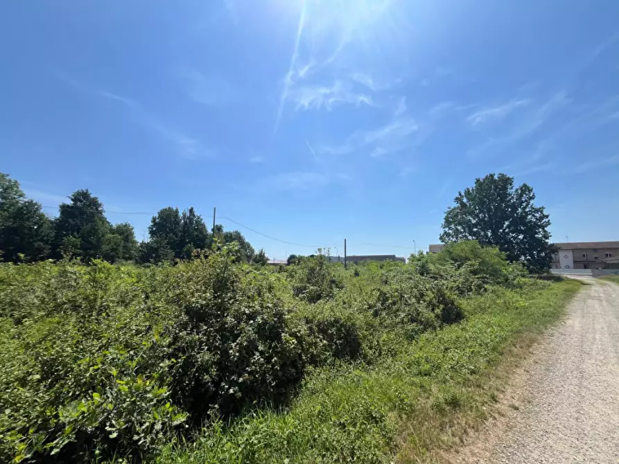 Immagine 7 di Terreno in vendita  in Via Ronchi del bosco a Bosconero
