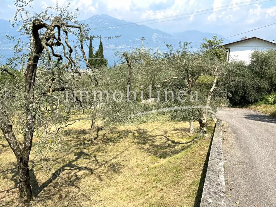 Immagine 6 di Terreno in vendita  in Via Alessandro Manzoni a Torri Del Benaco