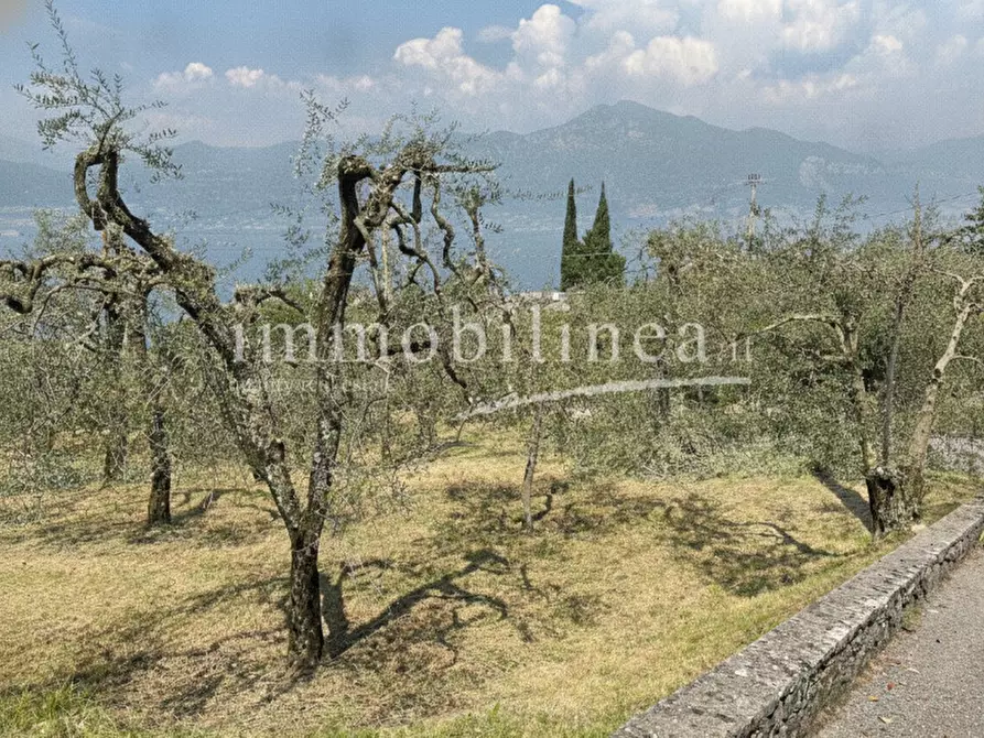 Immagine 7 di Terreno in vendita  in Via Alessandro Manzoni a Torri Del Benaco