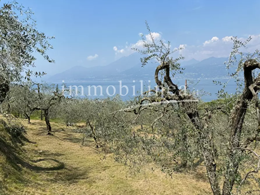 Immagine 9 di Terreno in vendita  in Via Alessandro Manzoni a Torri Del Benaco