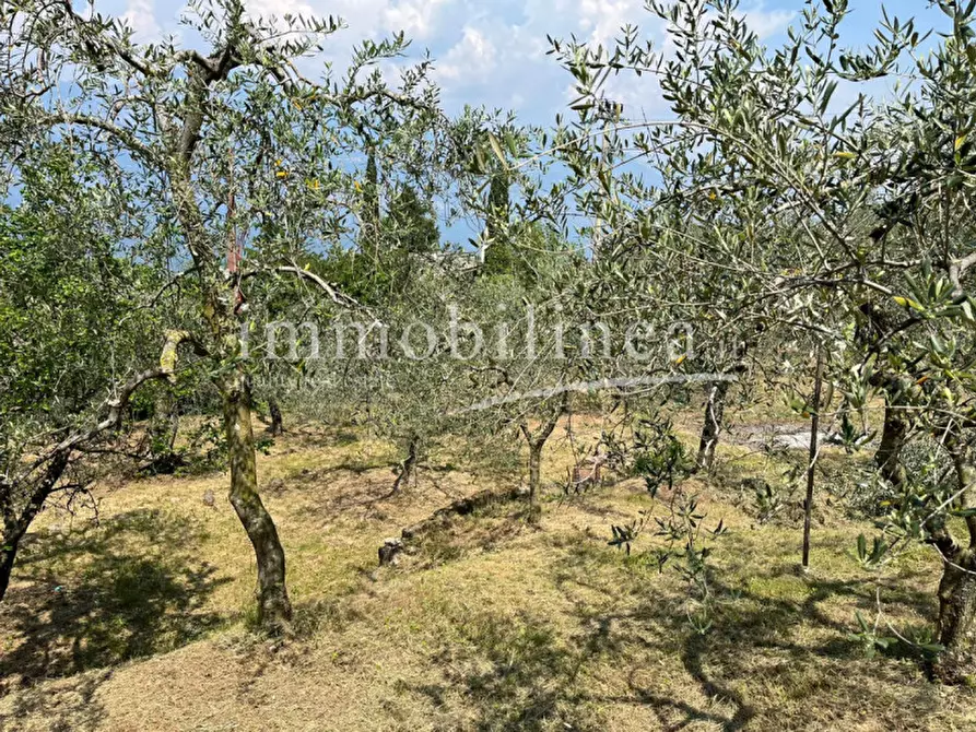 Immagine 10 di Terreno in vendita  in Via Alessandro Manzoni a Torri Del Benaco