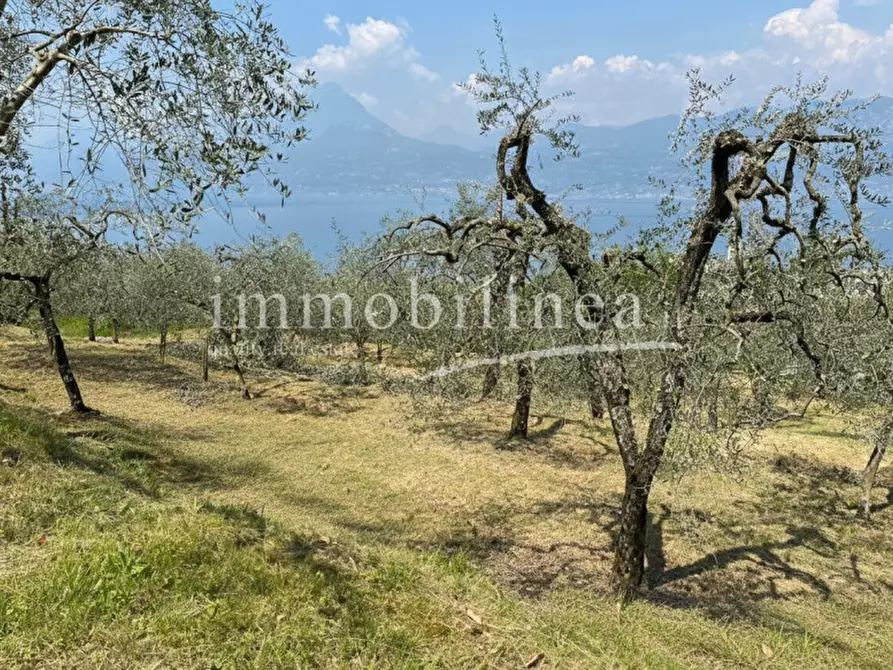 Immagine 11 di Terreno in vendita  in Via Alessandro Manzoni a Torri Del Benaco