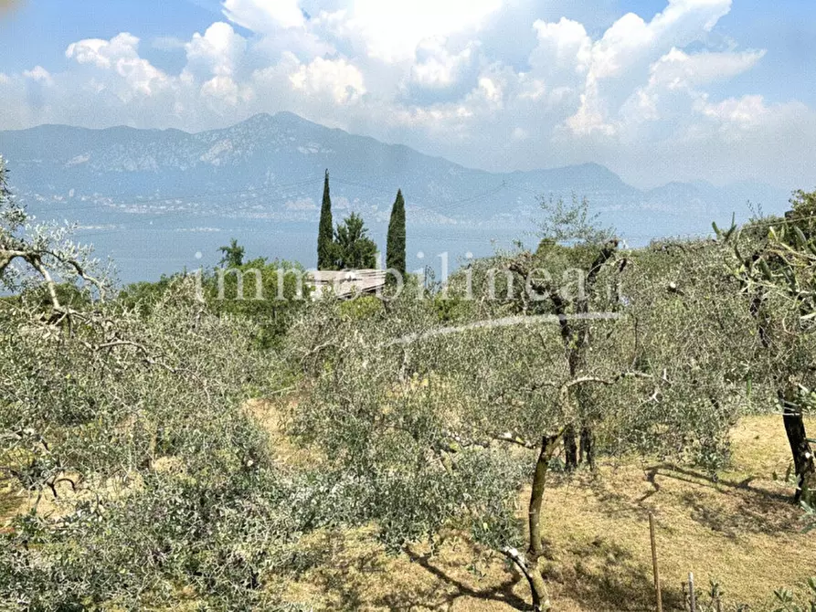 Immagine 12 di Terreno in vendita  in Via Alessandro Manzoni a Torri Del Benaco