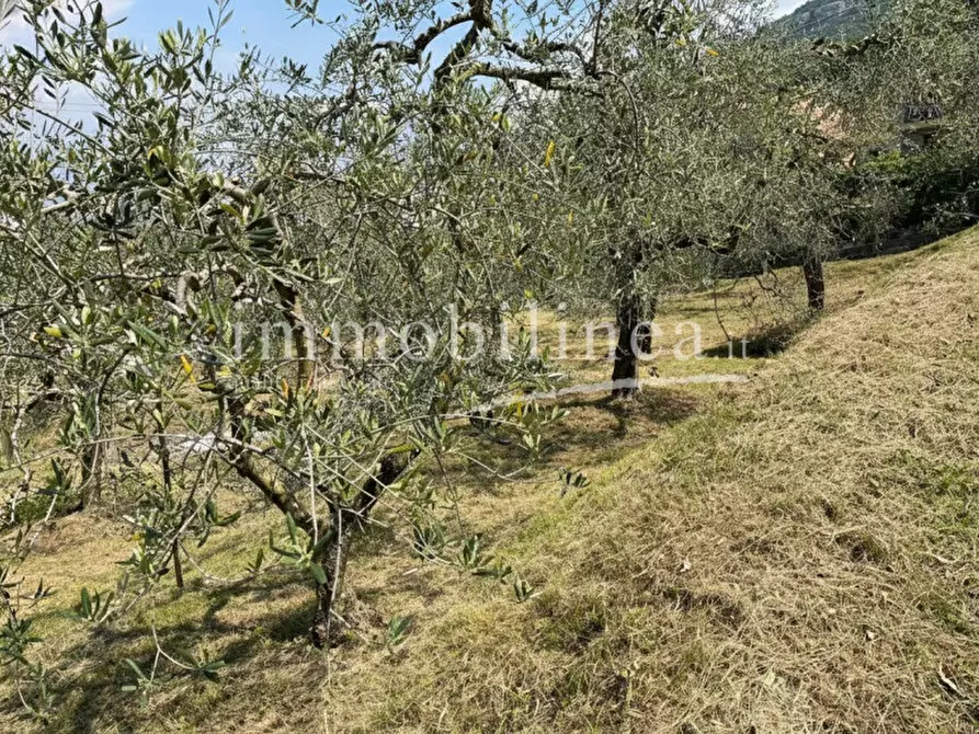 Immagine 13 di Terreno in vendita  in Via Alessandro Manzoni a Torri Del Benaco
