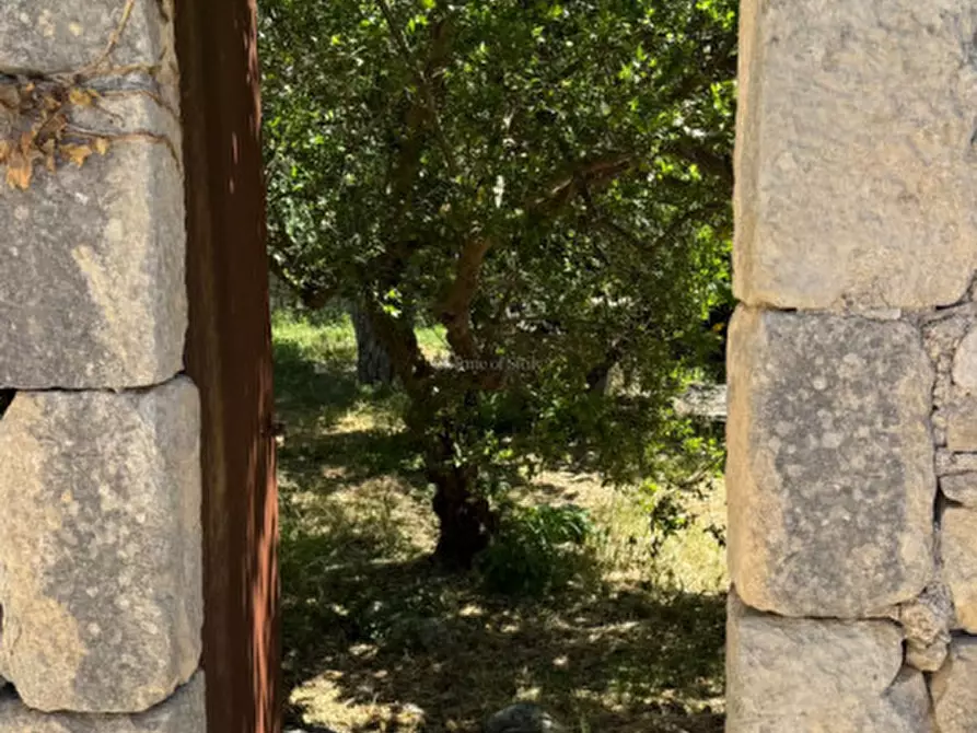 Immagine 34 di Casa indipendente in vendita  in Via Gianforma Margione a Modica