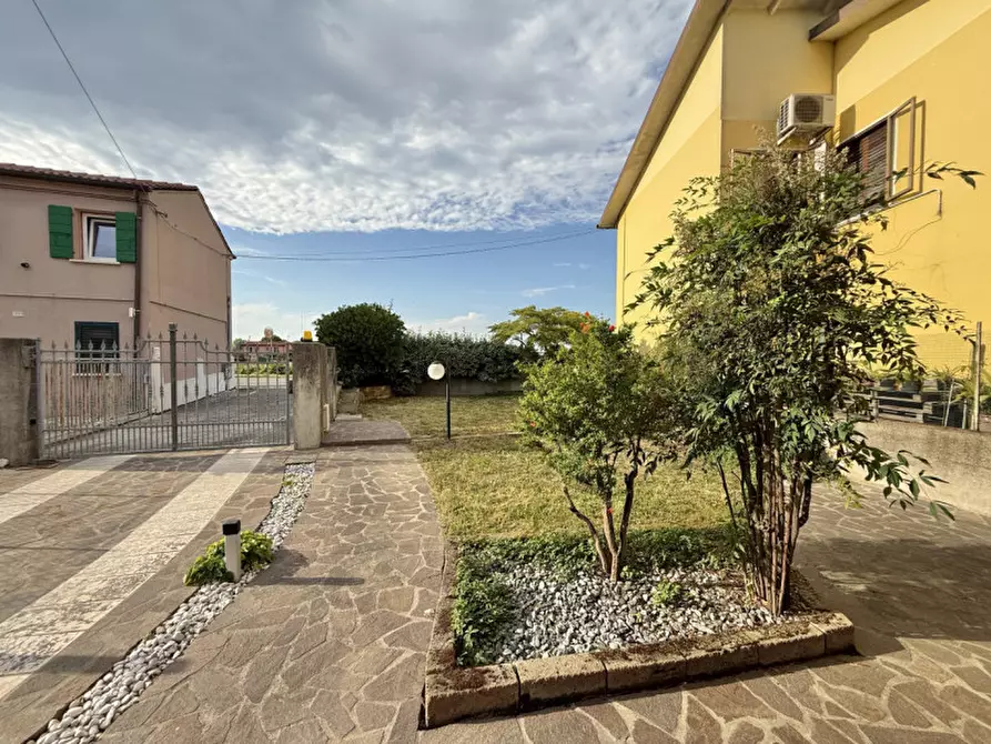 Immagine 21 di Casa indipendente in vendita  in via cuoro a Solesino