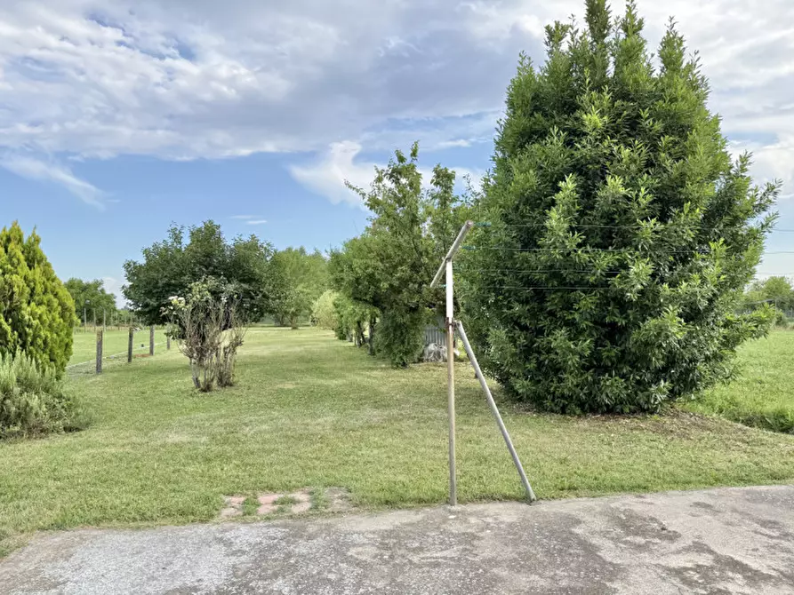 Immagine 25 di Casa indipendente in vendita  in via cuoro a Solesino