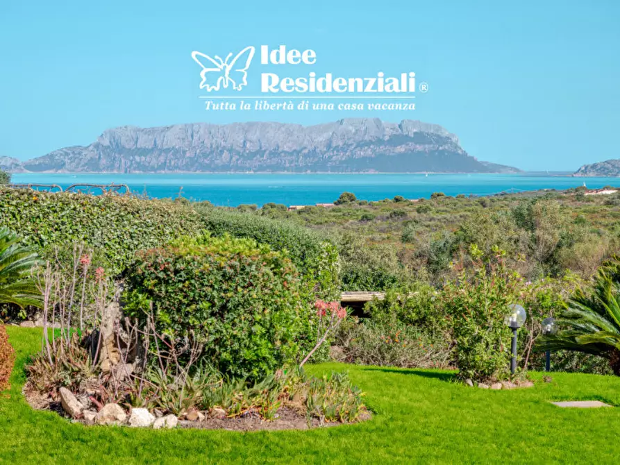Immagine 1 di Villa in vendita  a Golfo Aranci