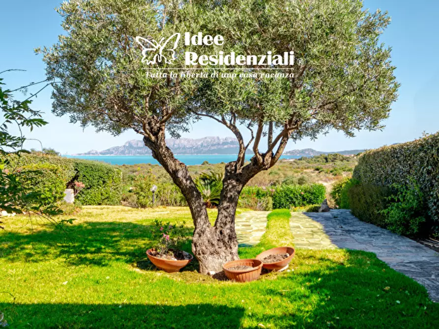 Immagine 7 di Villa in vendita  a Golfo Aranci