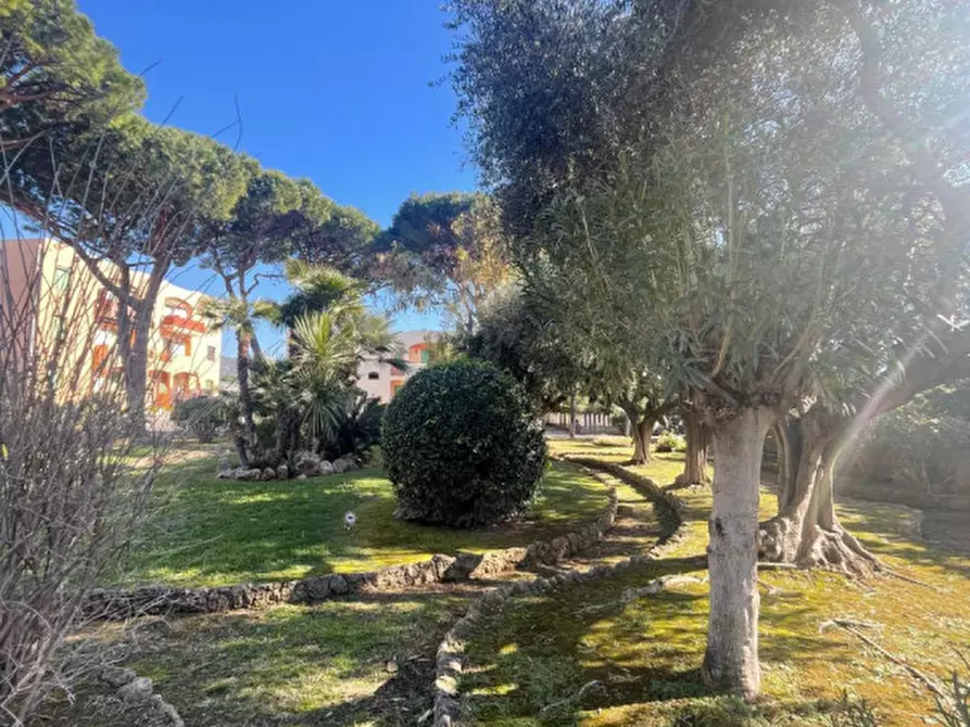 Immagine 3 di Appartamento in vendita  in Via Caviglia 8 a Ceriale