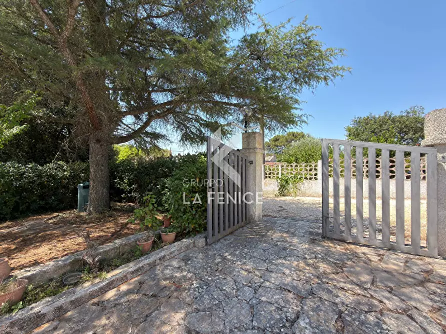 Immagine 7 di Villa in vendita  in strada monti del duca a Martina Franca