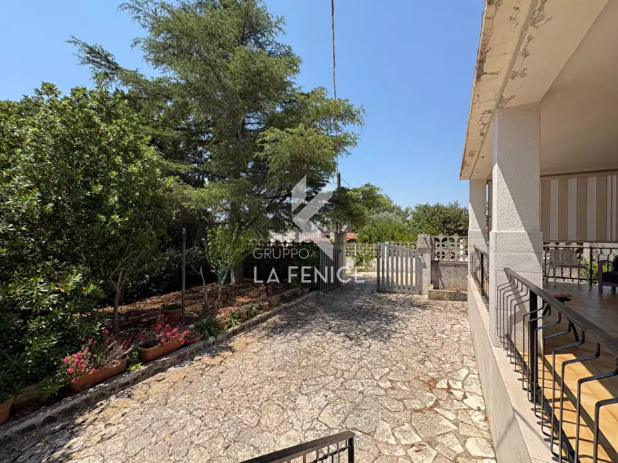 Immagine 27 di Villa in vendita  in strada monti del duca a Martina Franca