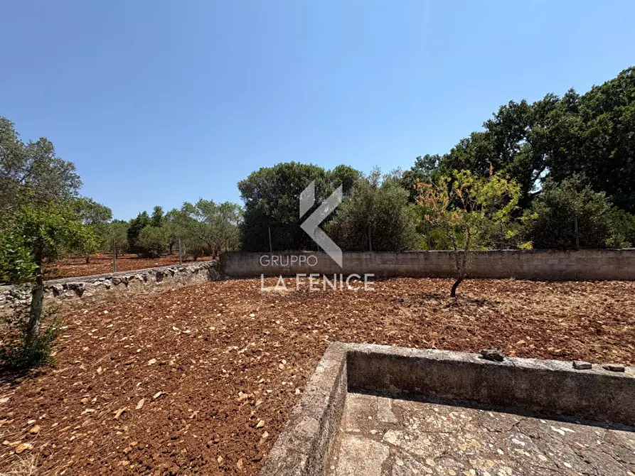 Immagine 35 di Villa in vendita  in strada monti del duca a Martina Franca