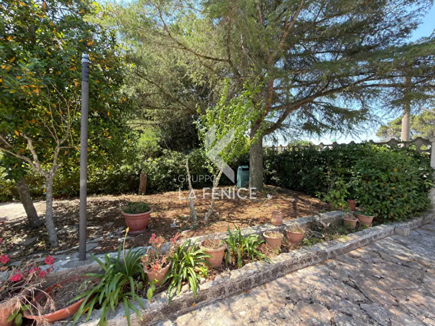 Immagine 39 di Villa in vendita  in strada monti del duca a Martina Franca