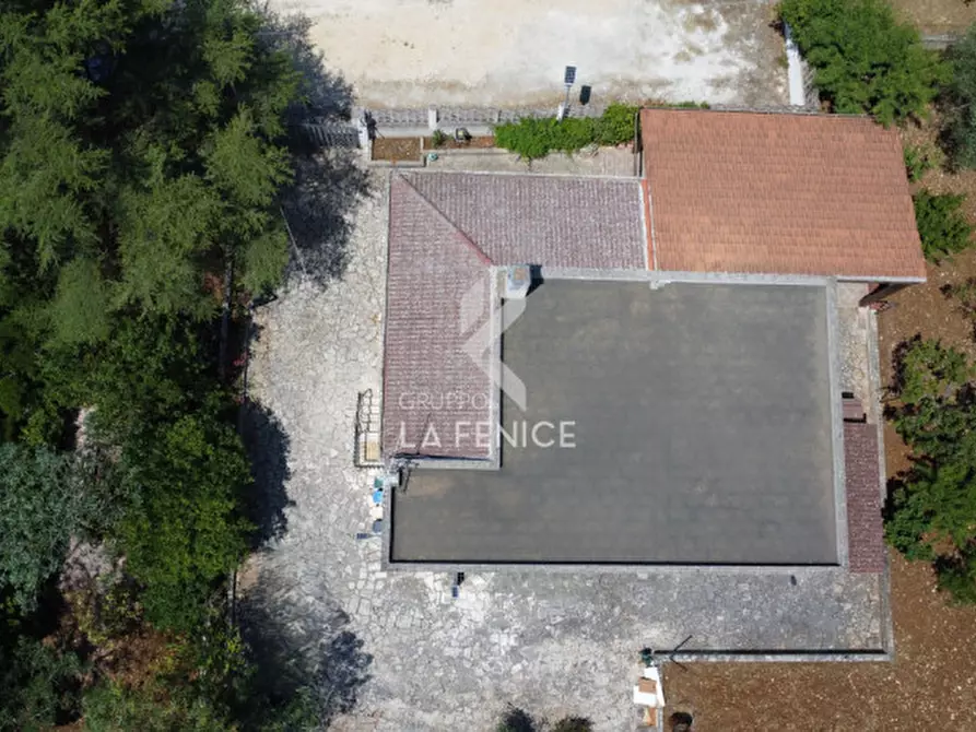 Immagine 42 di Villa in vendita  in strada monti del duca a Martina Franca