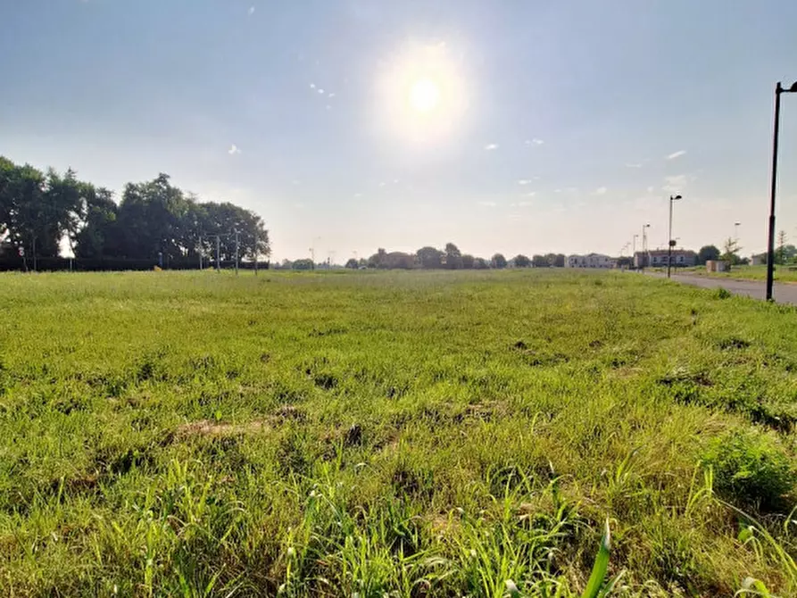 Immagine 9 di Terreno in vendita  in Via Camisana a Grumolo Delle Abbadesse