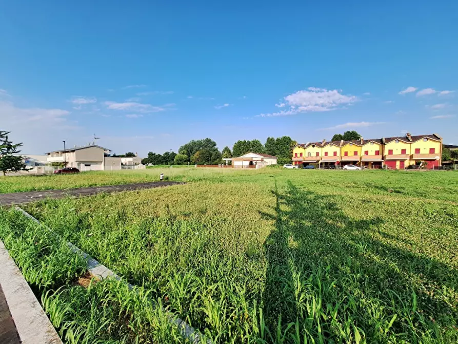 Immagine 6 di Terreno in vendita  in Via Camisana a Grumolo Delle Abbadesse