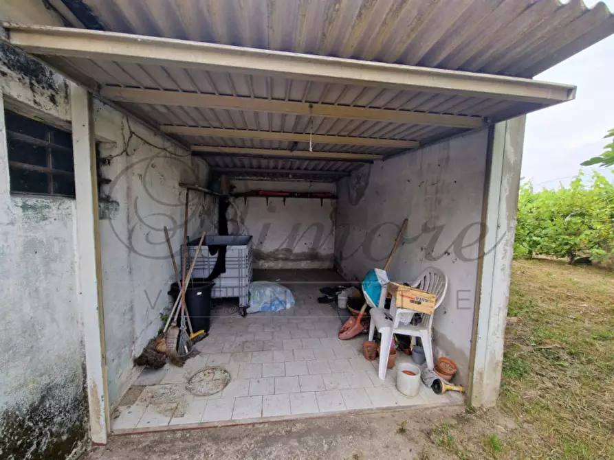 Immagine 23 di Casa indipendente in vendita  in Via Noalese Sud a Pianiga