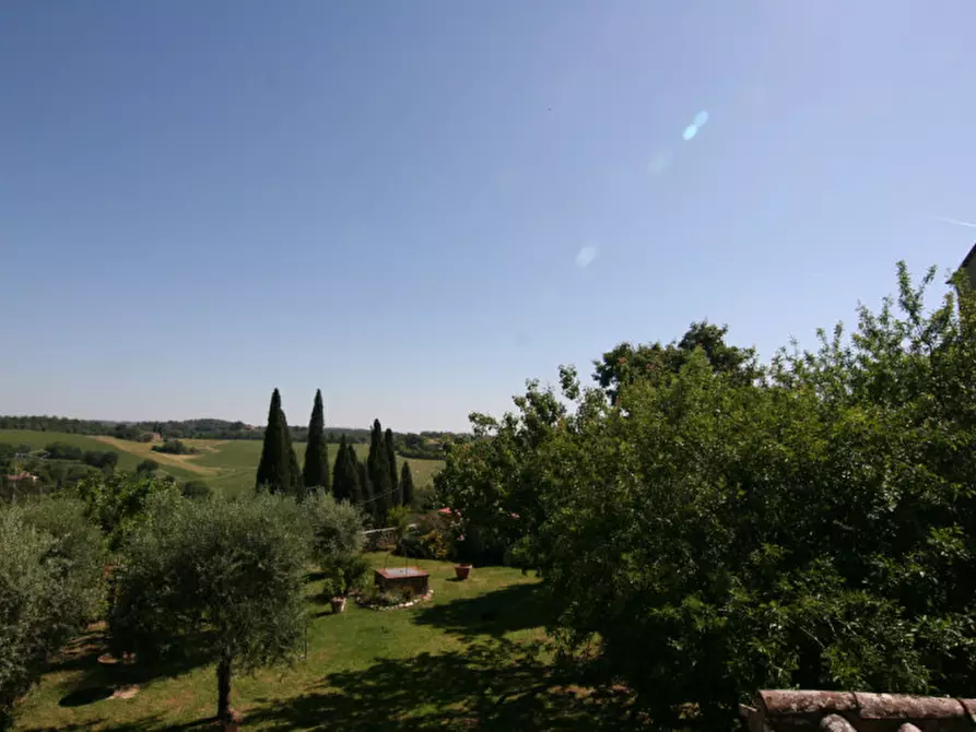 Immagine 17 di Appartamento in vendita  a Trequanda