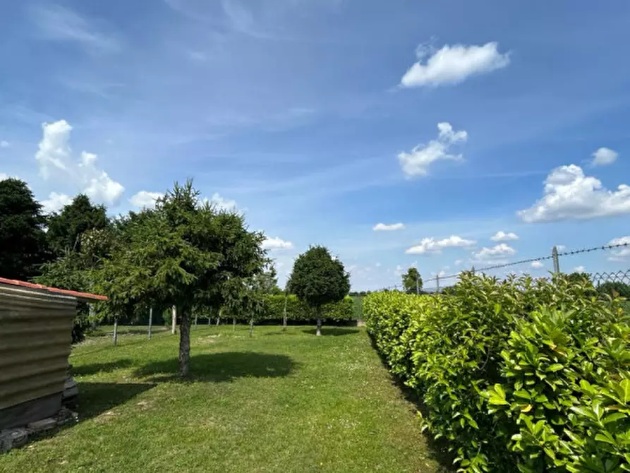 Immagine 5 di Casa bifamiliare in vendita  in Via Lago Zorzi a Montagnana