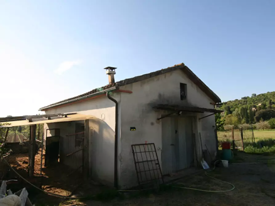 Immagine 6 di Villa in vendita  a Sinalunga