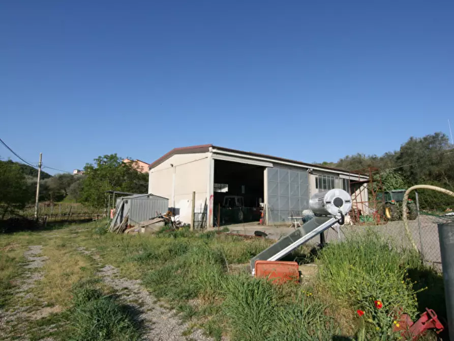 Immagine 8 di Villa in vendita  a Sinalunga