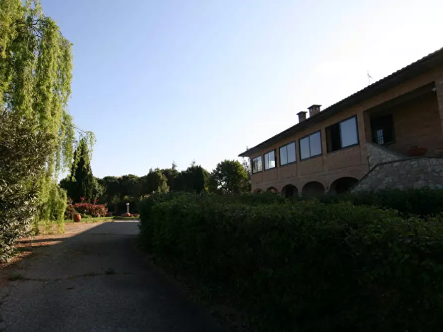 Immagine 12 di Villa in vendita  a Sinalunga