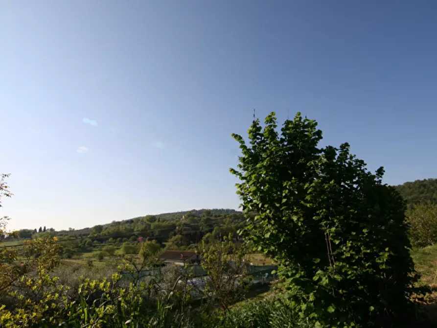 Immagine 18 di Villa in vendita  a Sinalunga