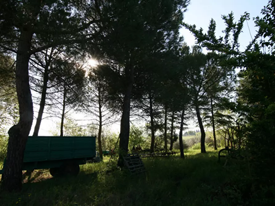 Immagine 20 di Villa in vendita  a Sinalunga