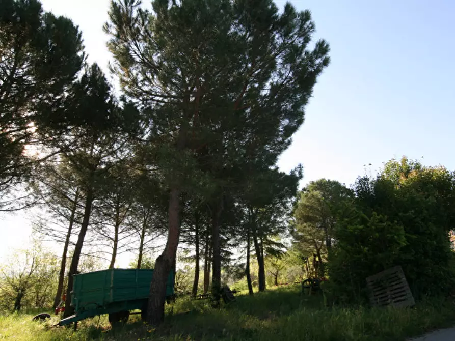 Immagine 21 di Villa in vendita  a Sinalunga