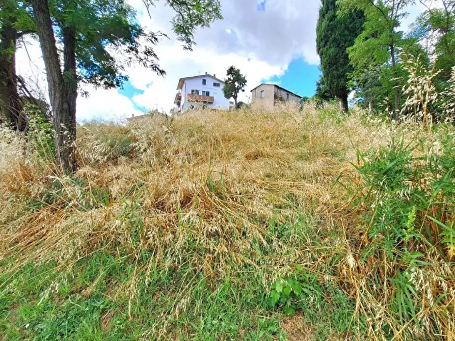 Immagine 2 di Terreno in vendita  in Via Indipendenza, 47014 Meldola FC, Italia a Meldola