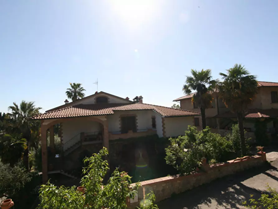 Immagine 17 di Casa indipendente in vendita  a Montalcino