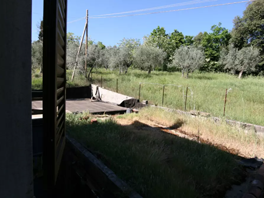 Immagine 32 di Casa indipendente in vendita  a Montalcino
