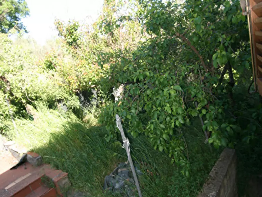 Immagine 33 di Casa indipendente in vendita  a Montalcino
