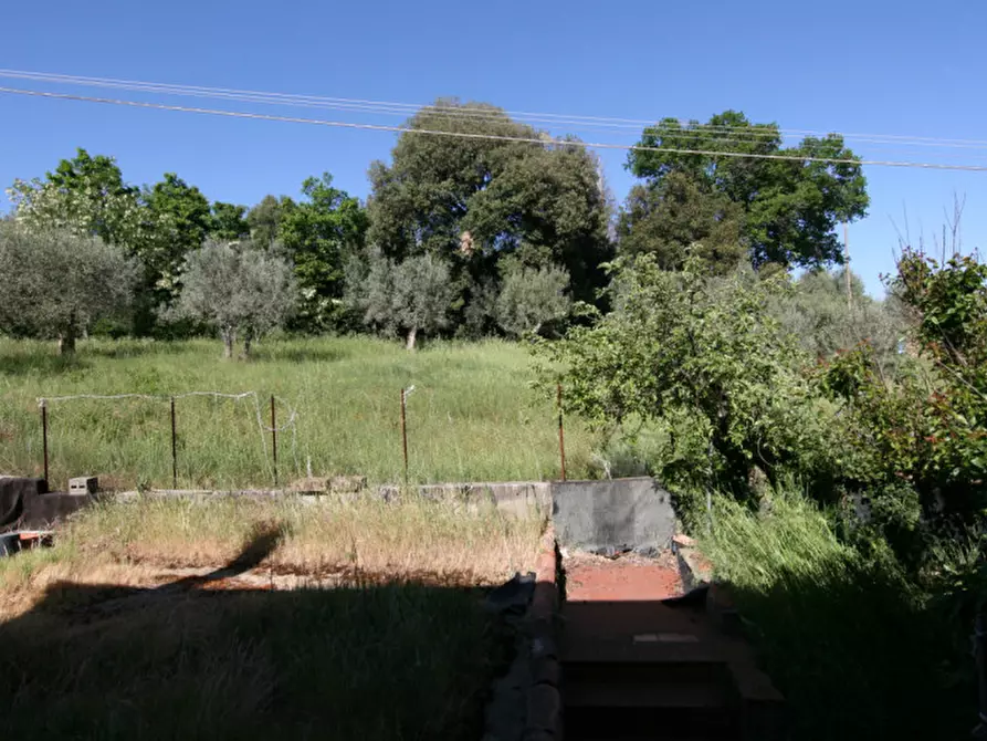 Immagine 34 di Casa indipendente in vendita  a Montalcino