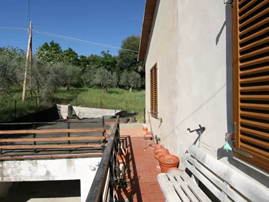 Immagine 36 di Casa indipendente in vendita  a Montalcino