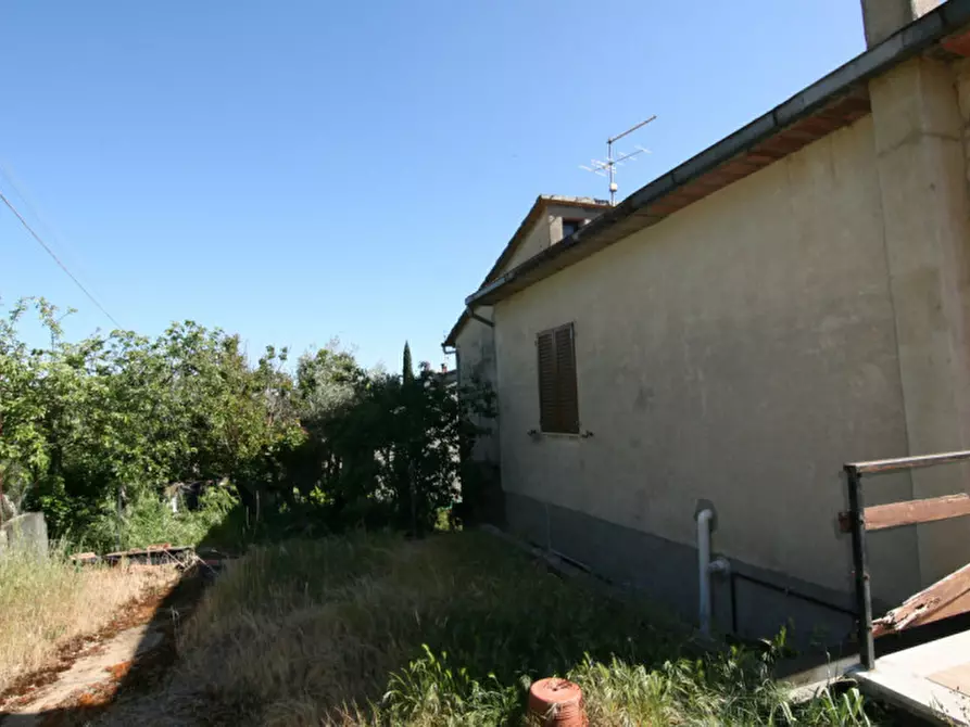 Immagine 37 di Casa indipendente in vendita  a Montalcino